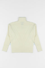 Chunky Ribbed Turtleneck Sweater | Forever 21 Women