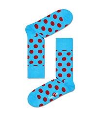 4-Pack Classics Socks Gift Set Multi | Forever 21 US