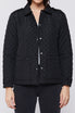 Rae Long Sleeve Snap Button Down Quilted Jacket | Forever 21 Women