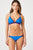 BLUE/MULTI